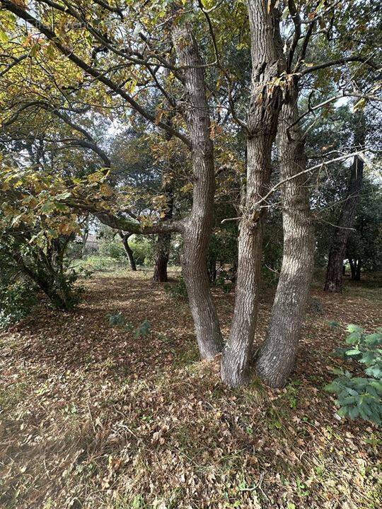 Terrain à SOULAC-SUR-MER