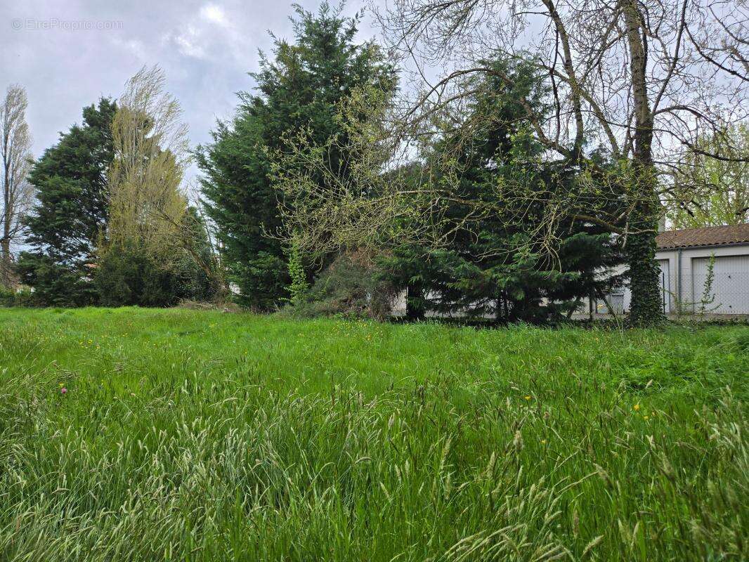 Terrain à ECHILLAIS