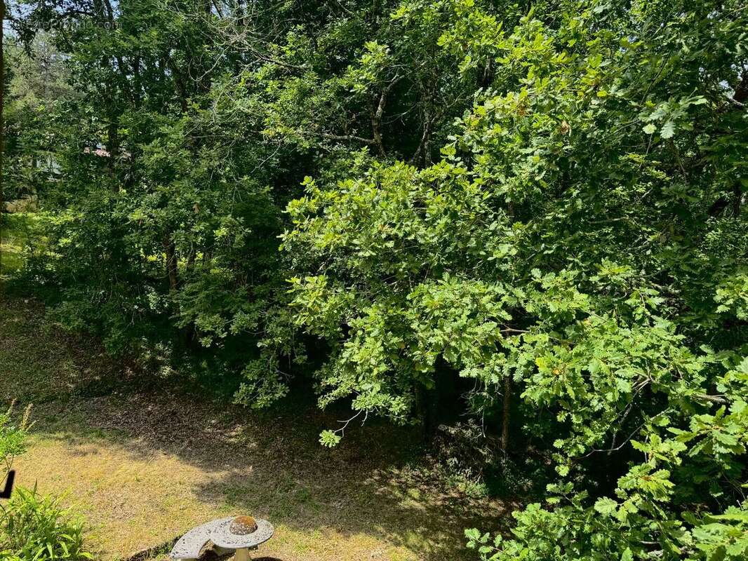 IMG8884 2 - Maison à LE BUGUE