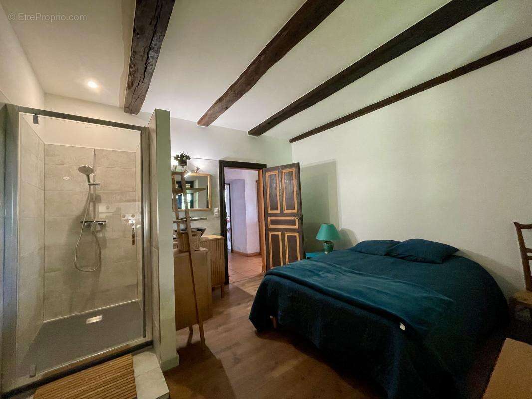 Maison 285 m² à Andouque  - photo 8