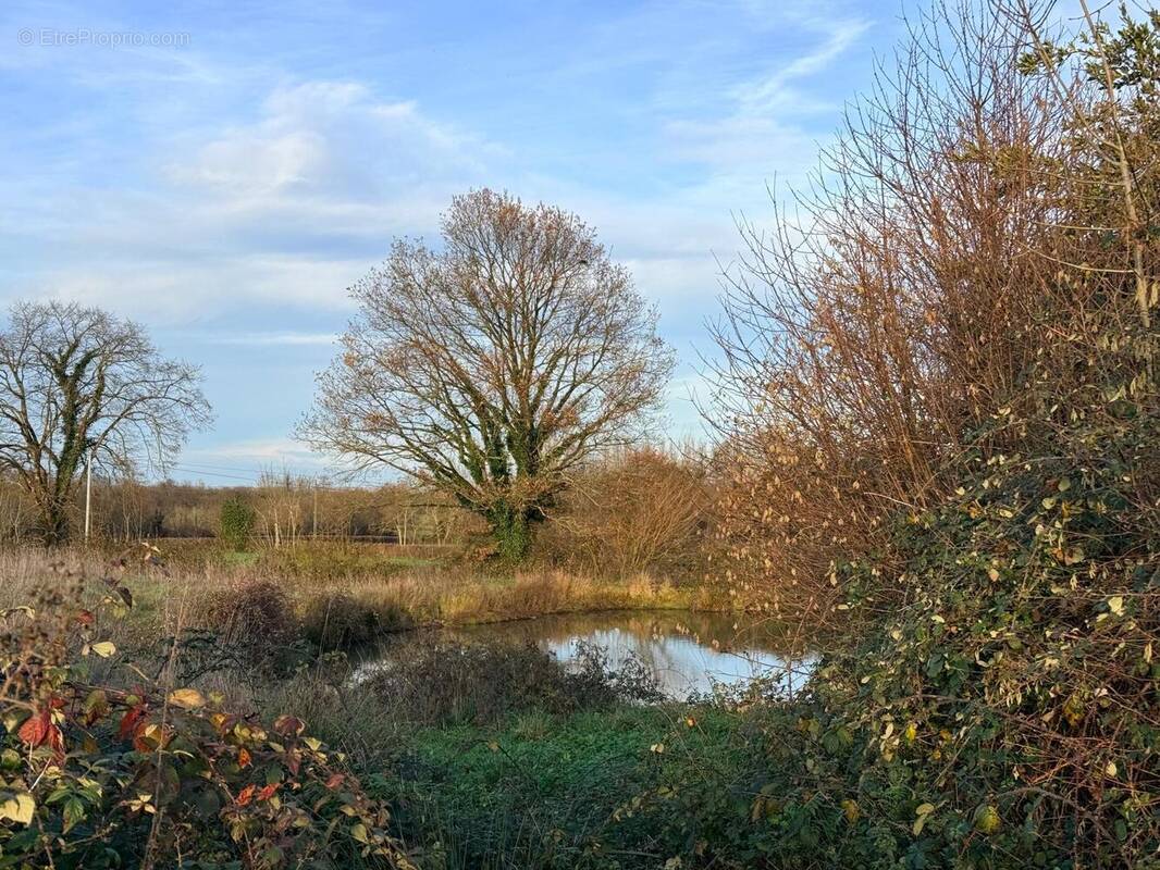 Photo 1 - Terrain à MONCOUTANT