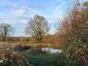 Photo 1 - Terrain à MONCOUTANT