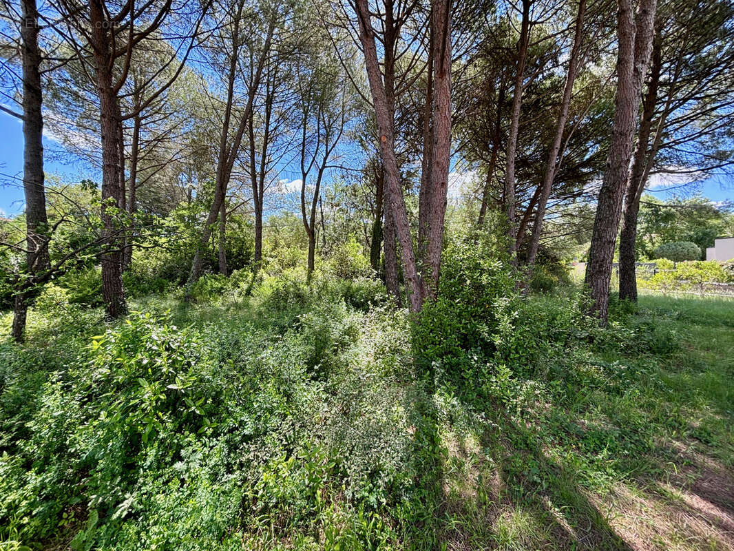 Terrain à PRADES-LE-LEZ