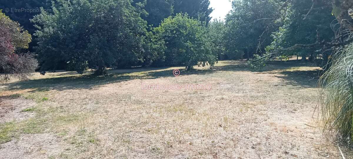 Terrain à MAZIERES-DE-TOURAINE