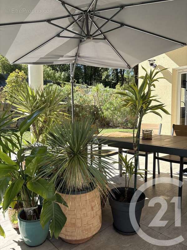 Maison à CASTANET-TOLOSAN