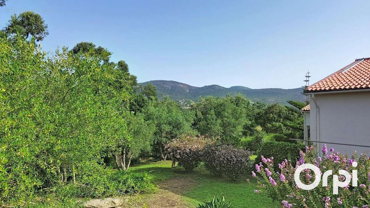 Propriété proche mer - photo 15