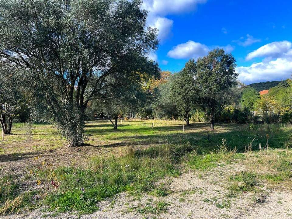 Terrain à LES MATELLES