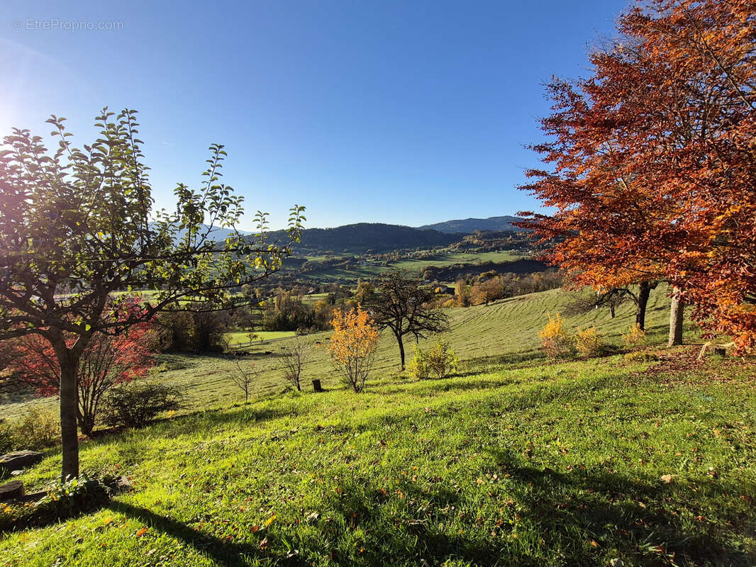 Maison à VIUZ-EN-SALLAZ
