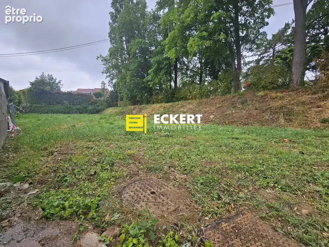 Terrain 728 m² à vendre à Molsheim (67120) - photo 2