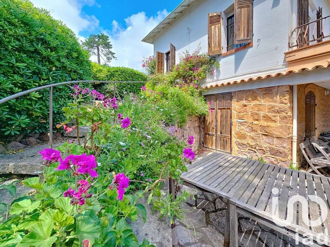 Photo 3 - Maison à LA SEYNE-SUR-MER