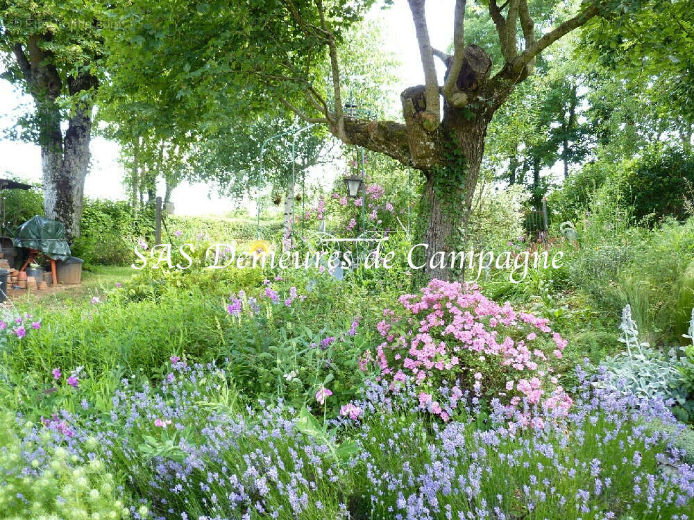 Maison à SENS-BEAUJEU