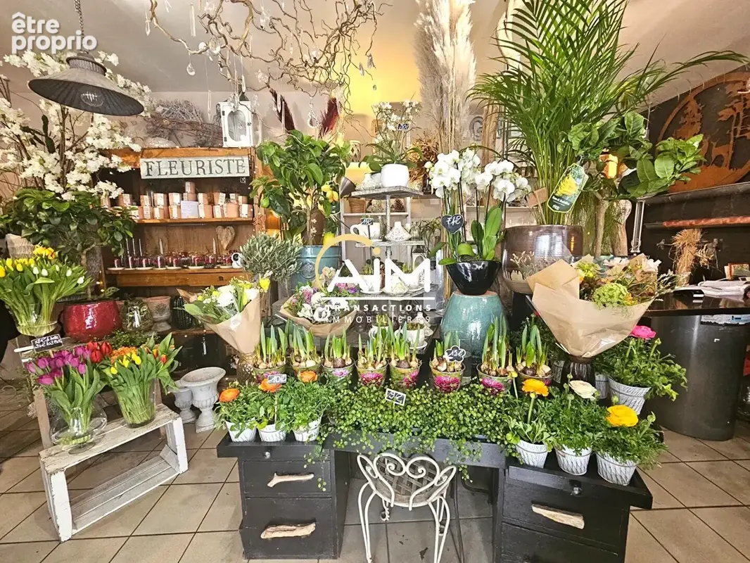 Commerce à TOURS
