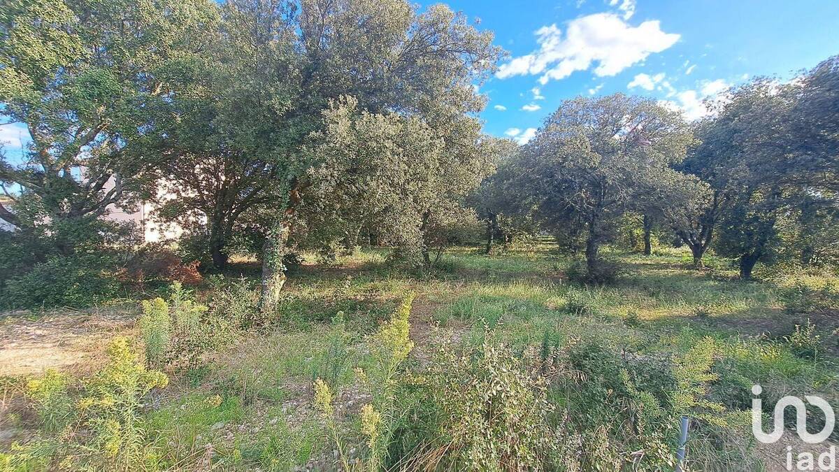 Photo 1 - Terrain à LA BAUME-DE-TRANSIT