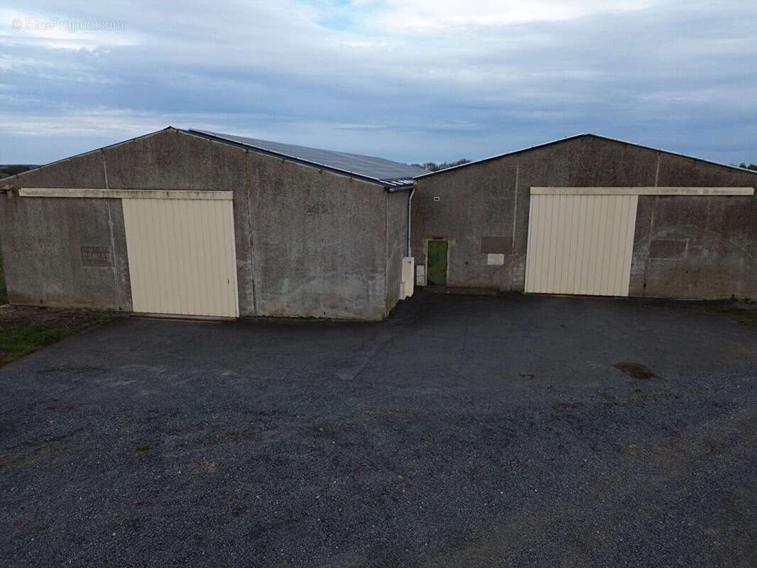 Commerce à MONTREUIL-BELLAY