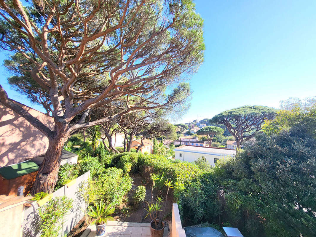 Appartement à LES ISSAMBRES