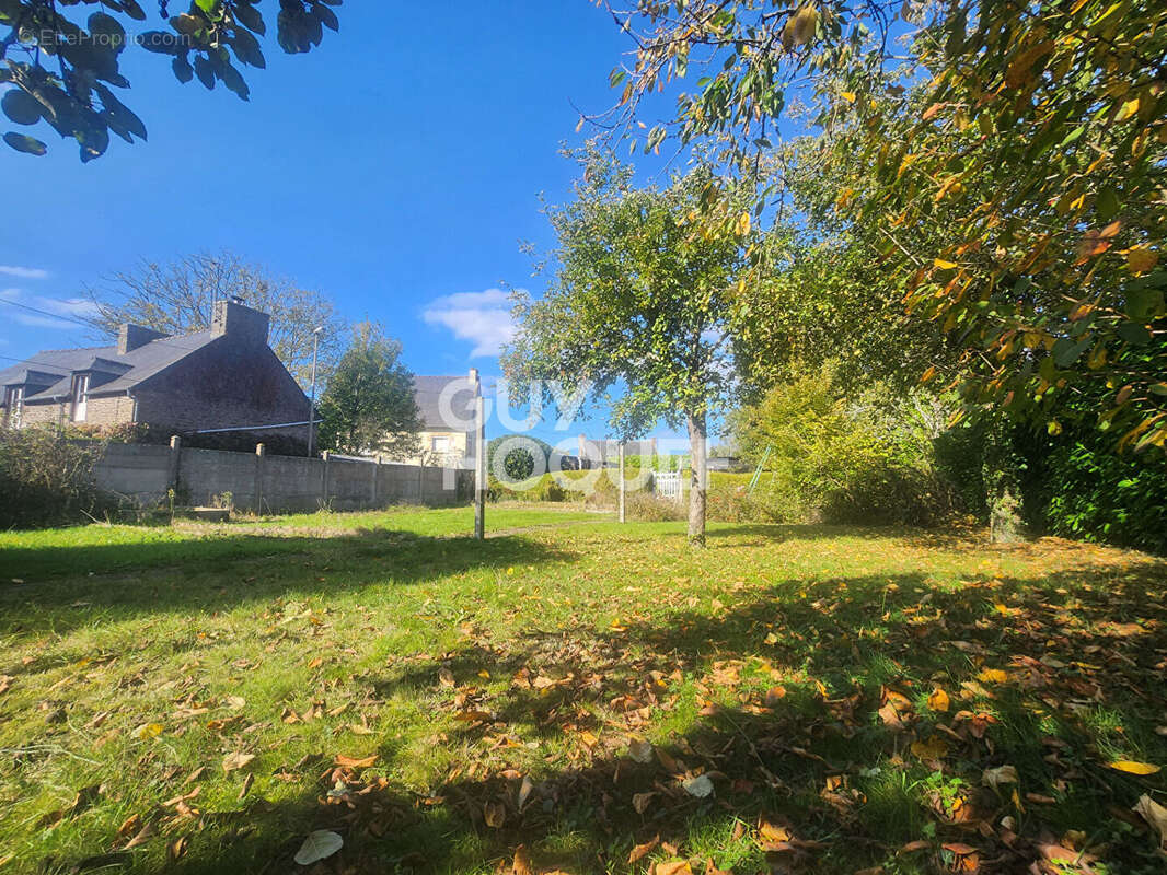 Terrain à SAINT-SAMSON-SUR-RANCE