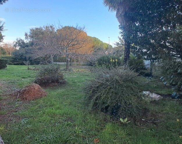 Terrain à BREUILLET