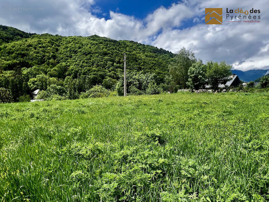 Terrain à BORDERES-LOURON