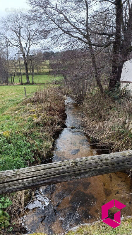 Terrain à USSON-EN-FOREZ