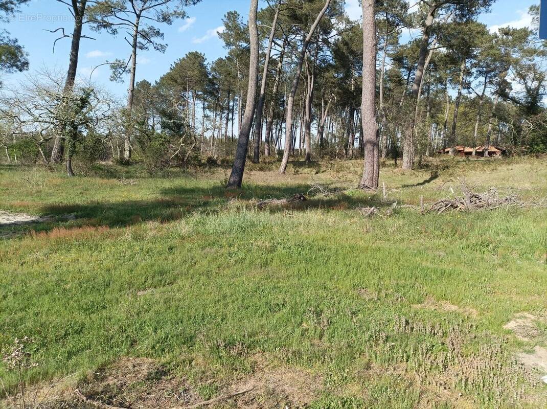 Terrain à BISCARROSSE