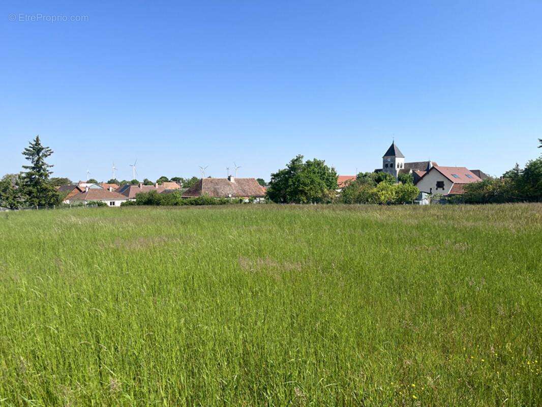 Terrain constructible pour partie, 7090 m2 - photo 2
