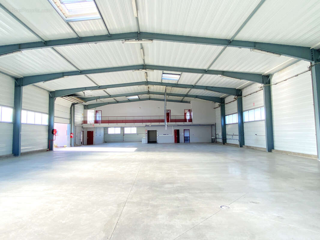 Commerce à RIVESALTES