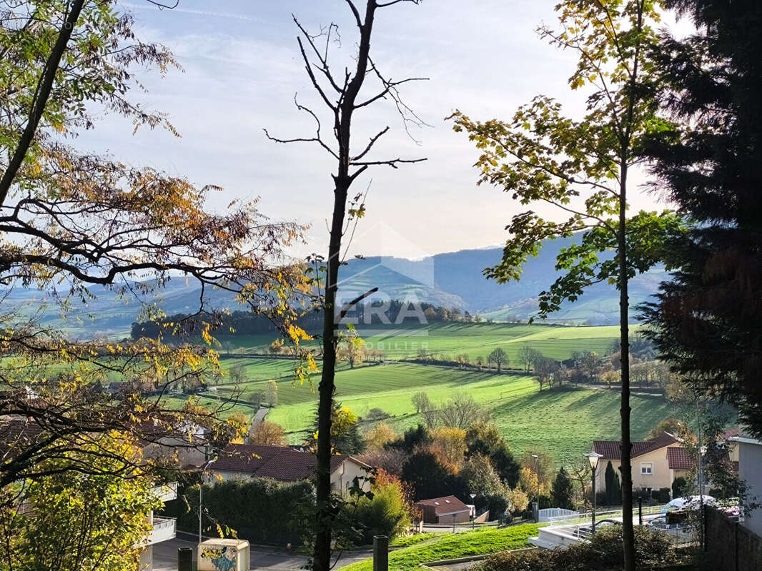 Terrain à SAINT-JEAN-BONNEFONDS