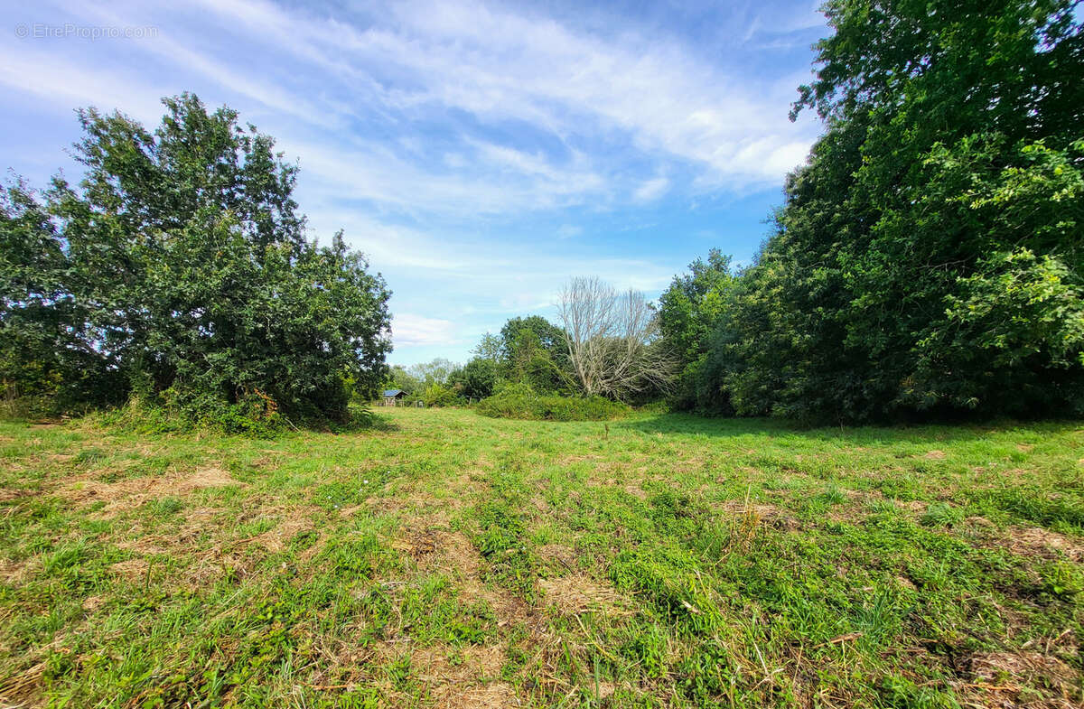 Pleuven - L'Immobilier du Finistère - Réseau ExprtImo - Anthony Estrade - photo 3