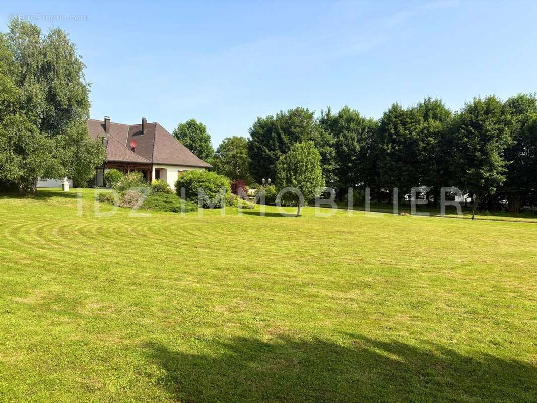 Maison à HAGENTHAL-LE-BAS