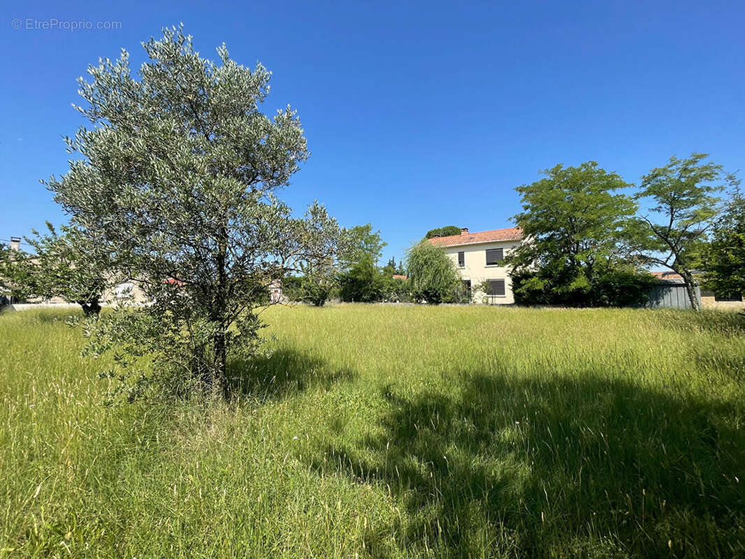 Terrain à ENTRAIGUES-SUR-LA-SORGUE