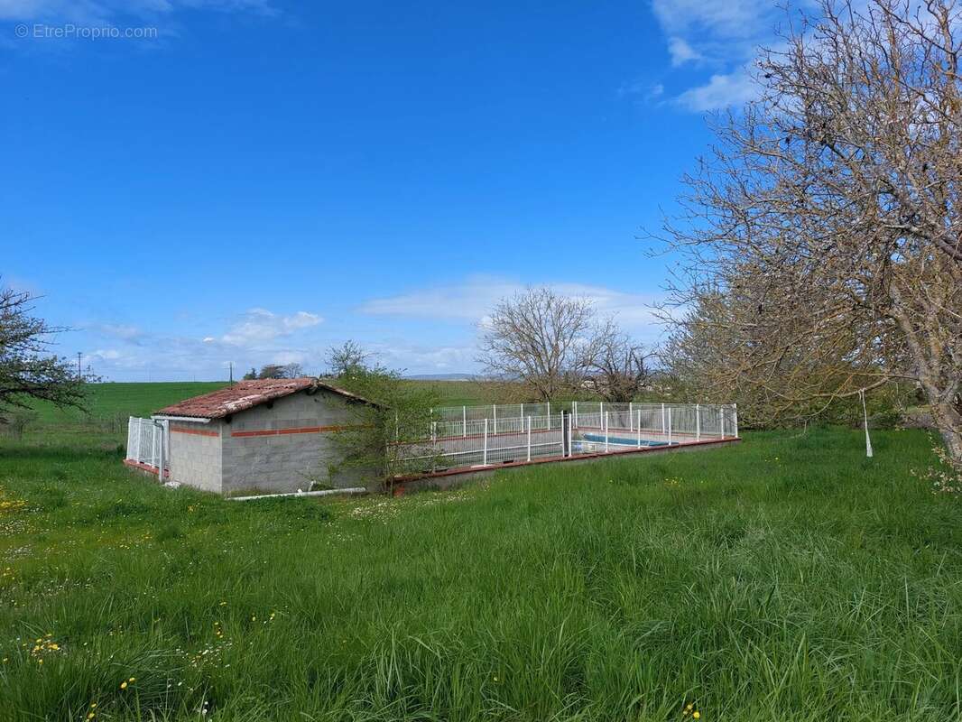 Maison à CORDES-SUR-CIEL