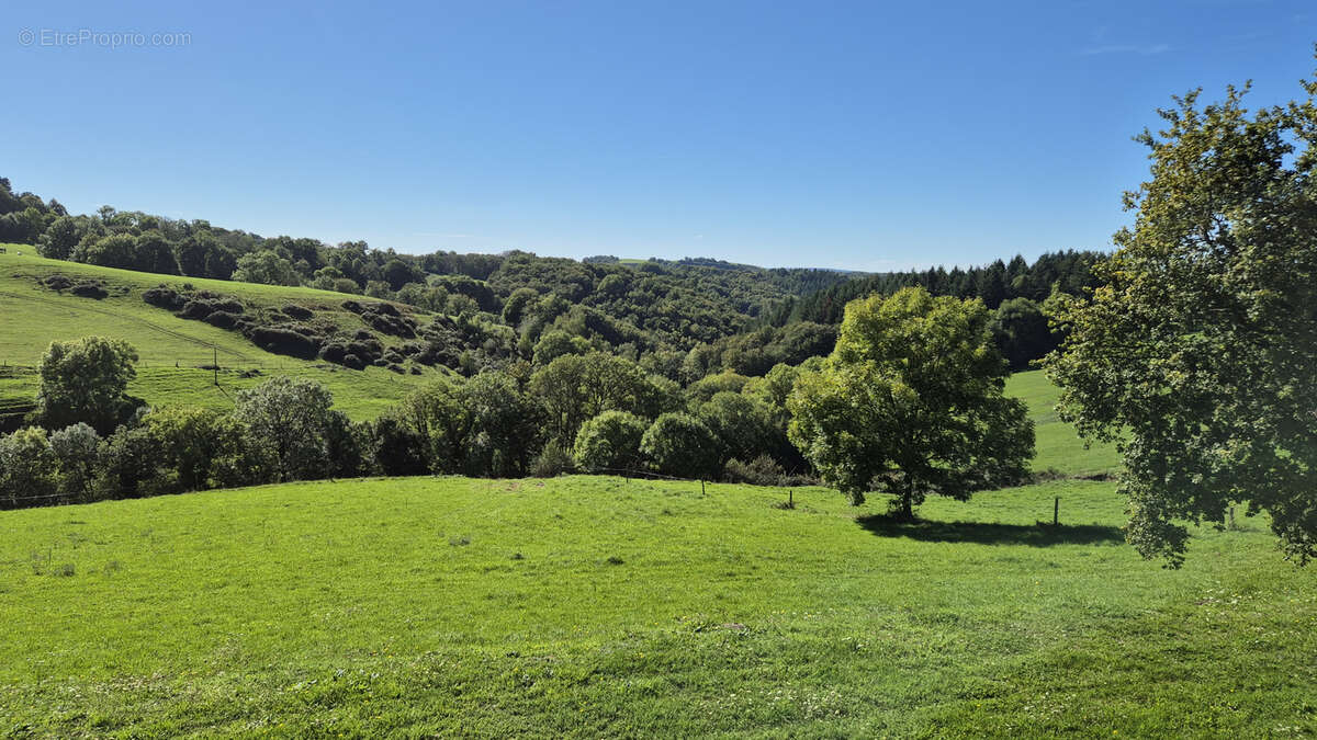 Maison à SAINT-CERNIN