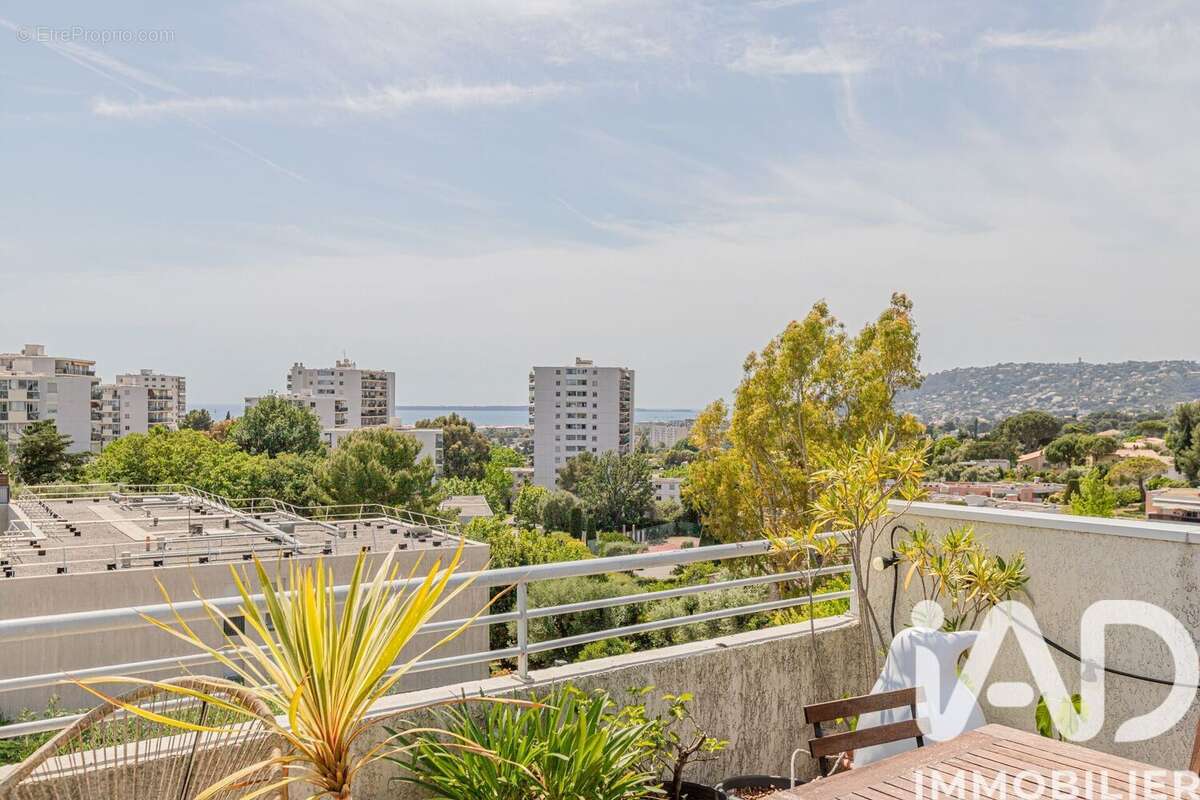 Photo 4 - Appartement à ANTIBES
