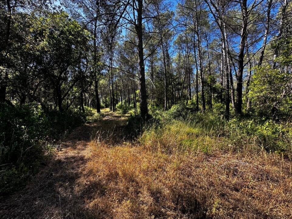 Terrain à FREJUS