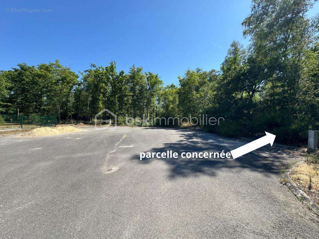 Terrain de 1646 m² - photo 2