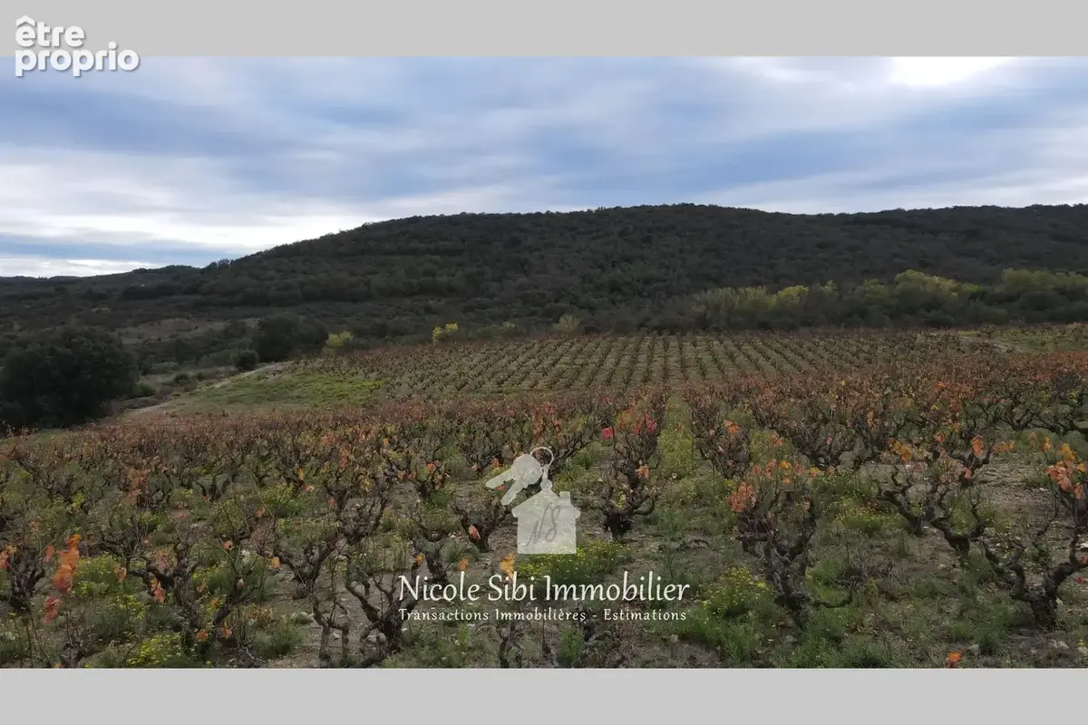 Terrain 29 300 m² à vendre à Lansac (66720) - photo 2