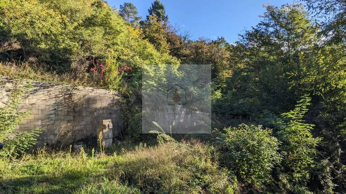 Terrain à LE COLLET-DE-DEZE