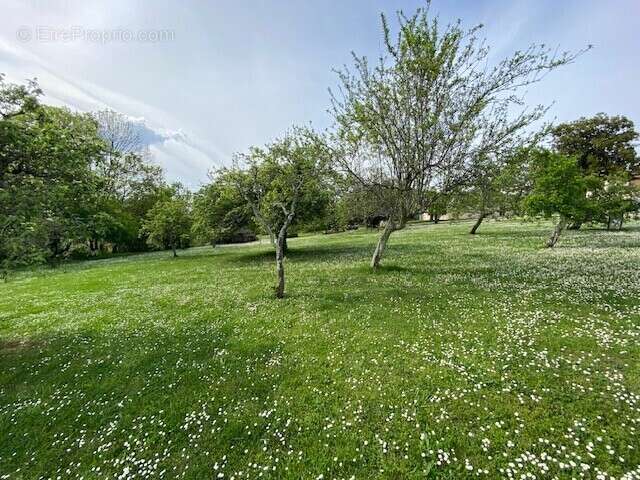Terrain à MARTIGNAS-SUR-JALLE