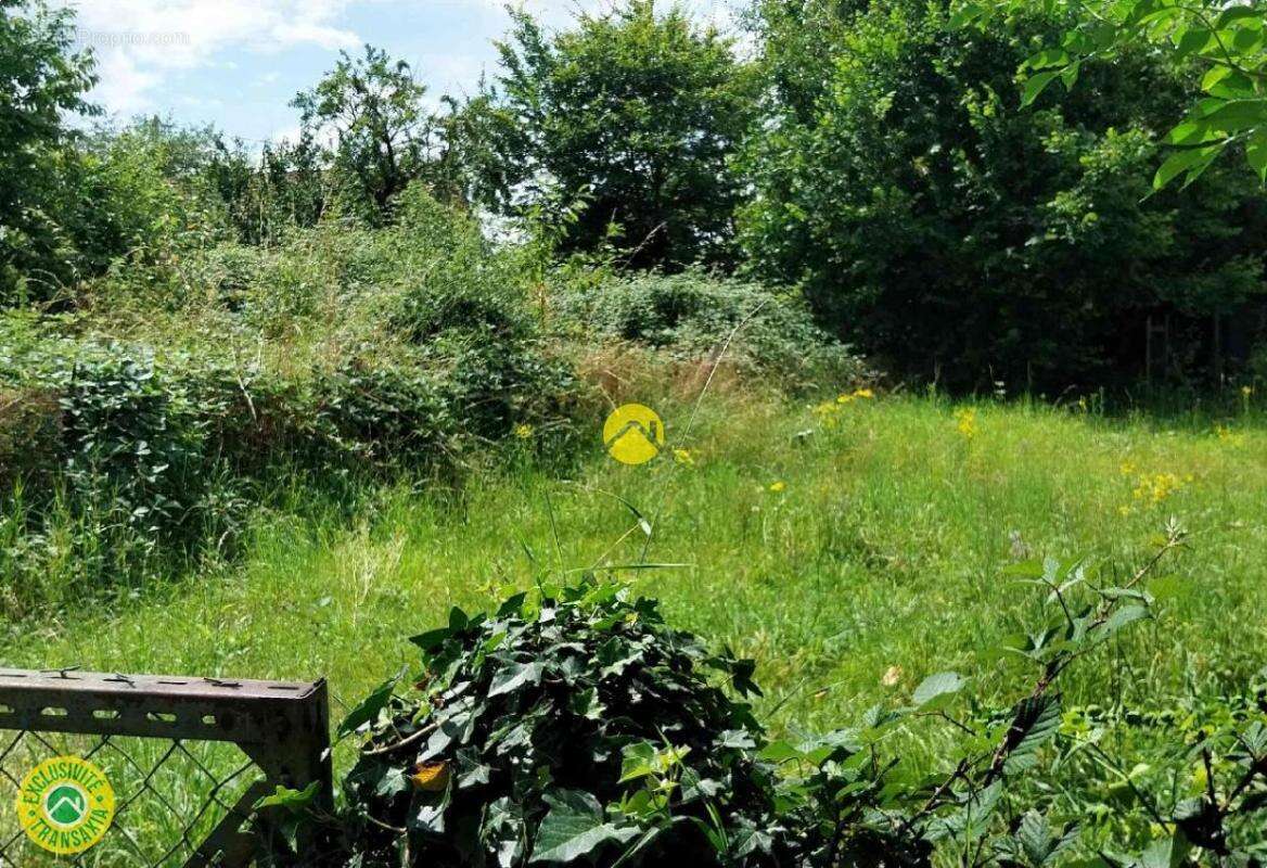 Maison à GROSSOUVRE