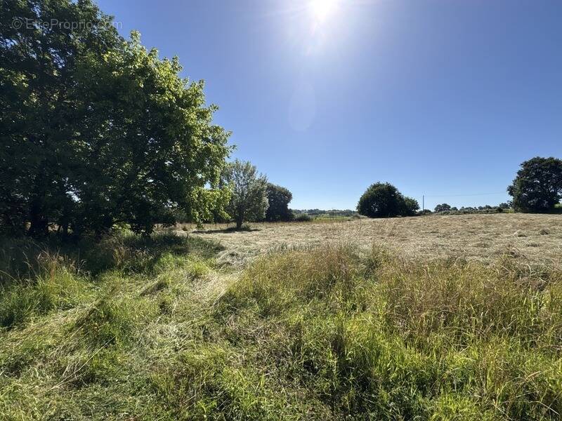 Terrain à ORTHEZ