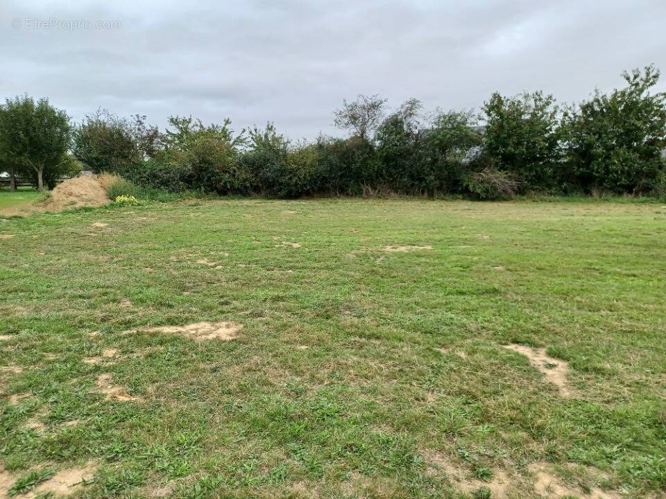 Terrain à SILLE-LE-GUILLAUME