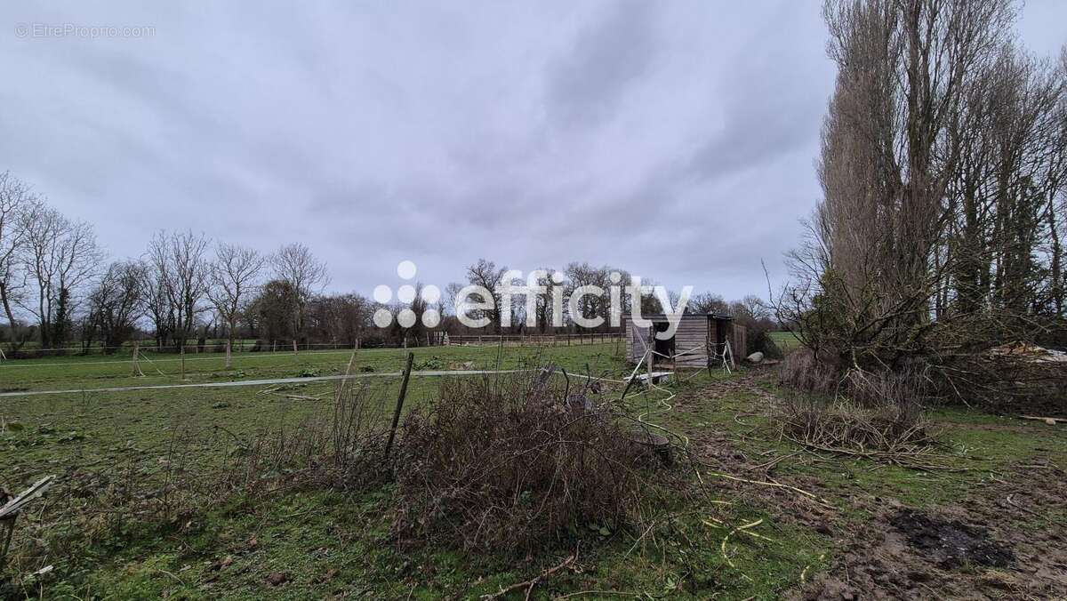 Maison 207 m² à Mandeville-En-Bessin  - photo 22