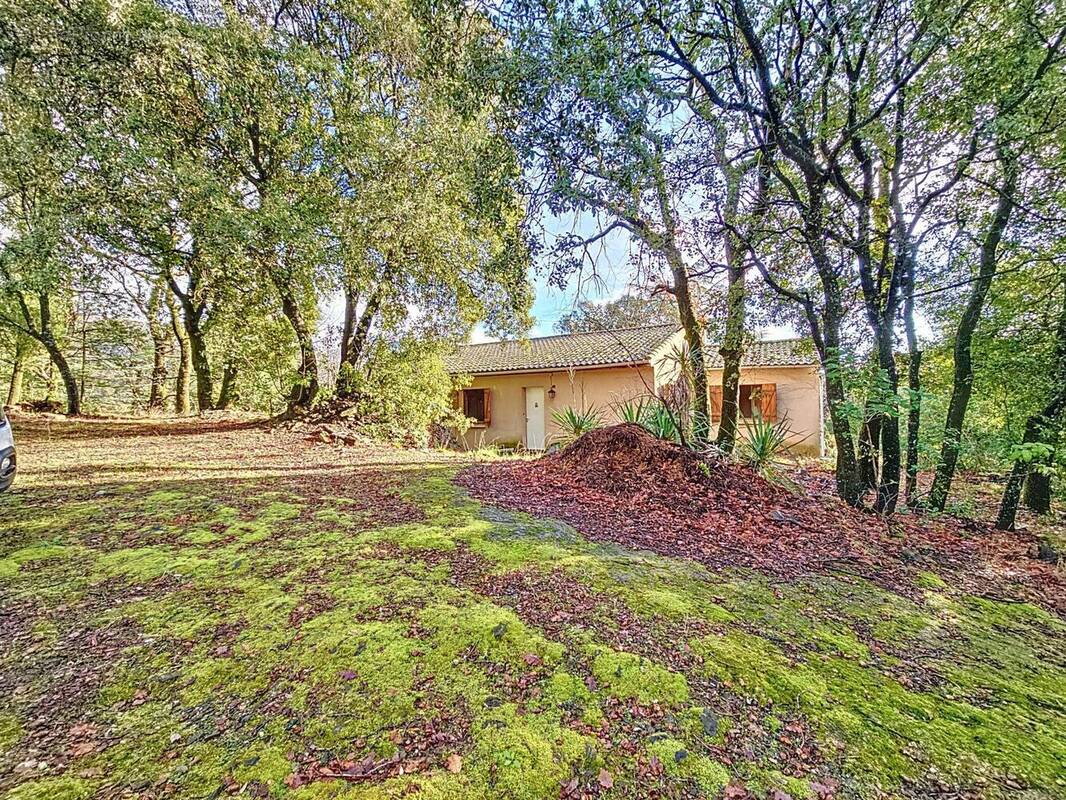 Photo 1 - Maison à OLARGUES