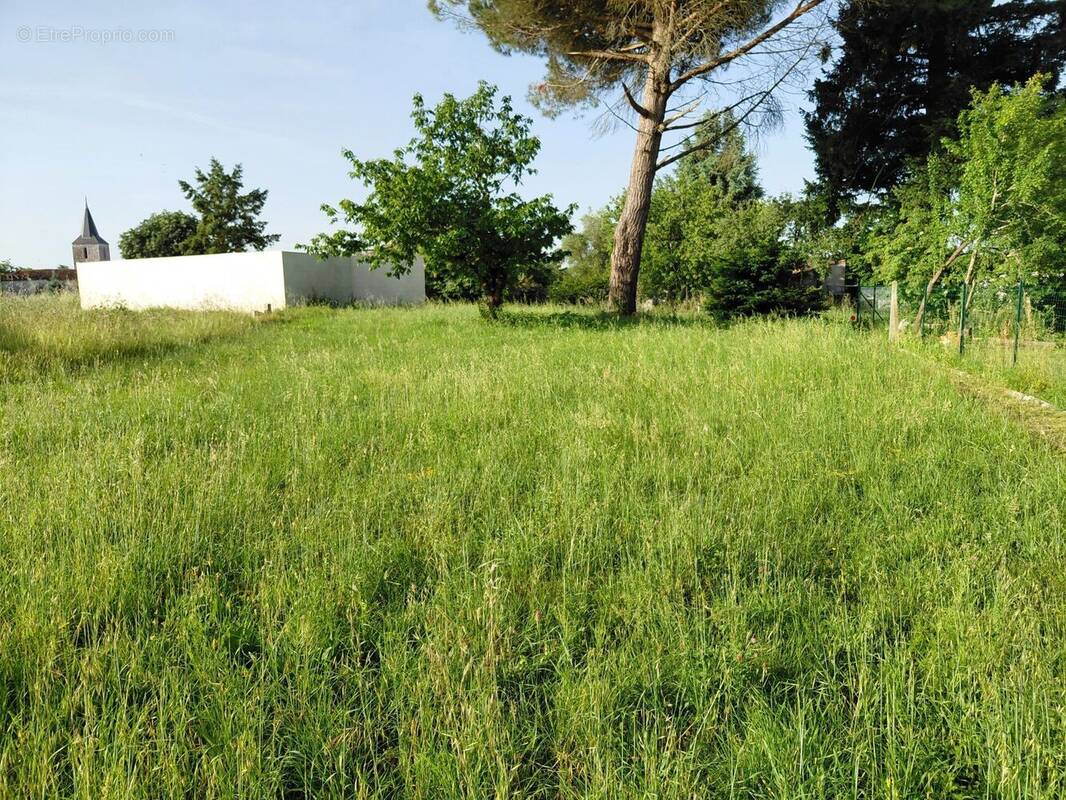 Terrain à SAINT-VAIZE