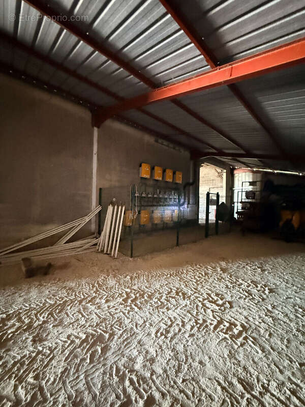 Commerce à MONTREUIL-BELLAY