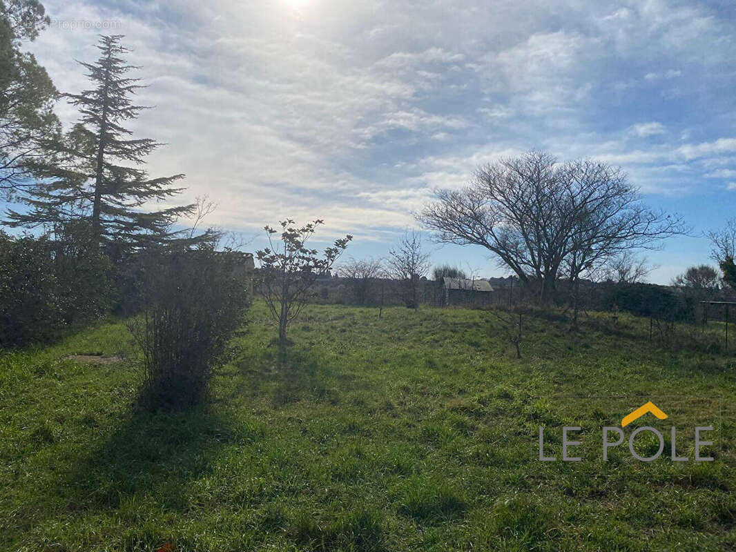 Terrain à SAINTE-CECILE-LES-VIGNES