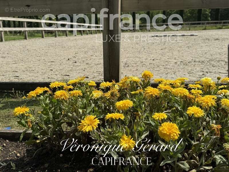 Maison à SALLEBOEUF