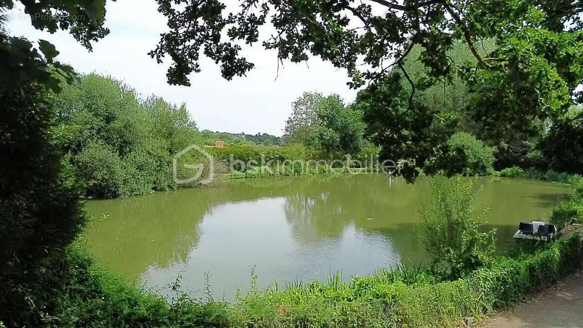 Propriété de charme avec étangs - photo 20
