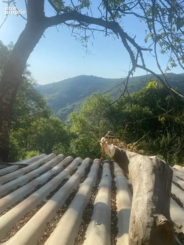 Belle maison Ardéchoise avec gîtes sur le terrain de 9950m² - photo 30