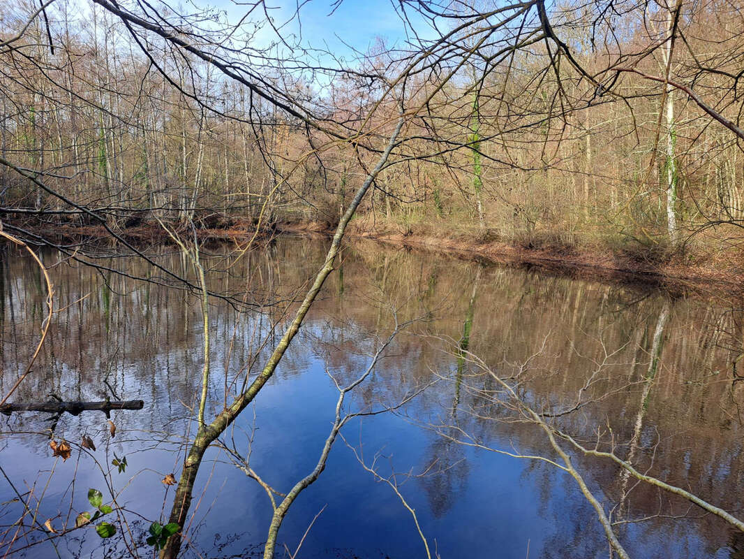 Terrain à SAINT-CALAIS